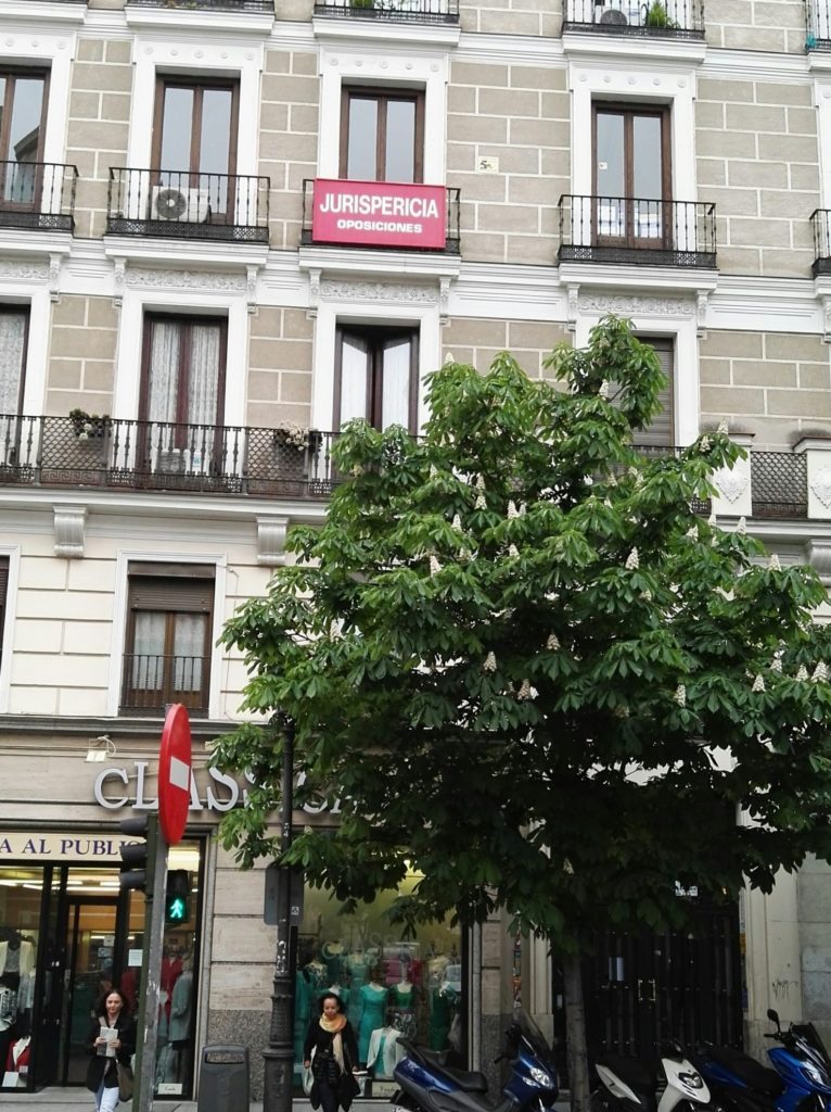 Convocatorias